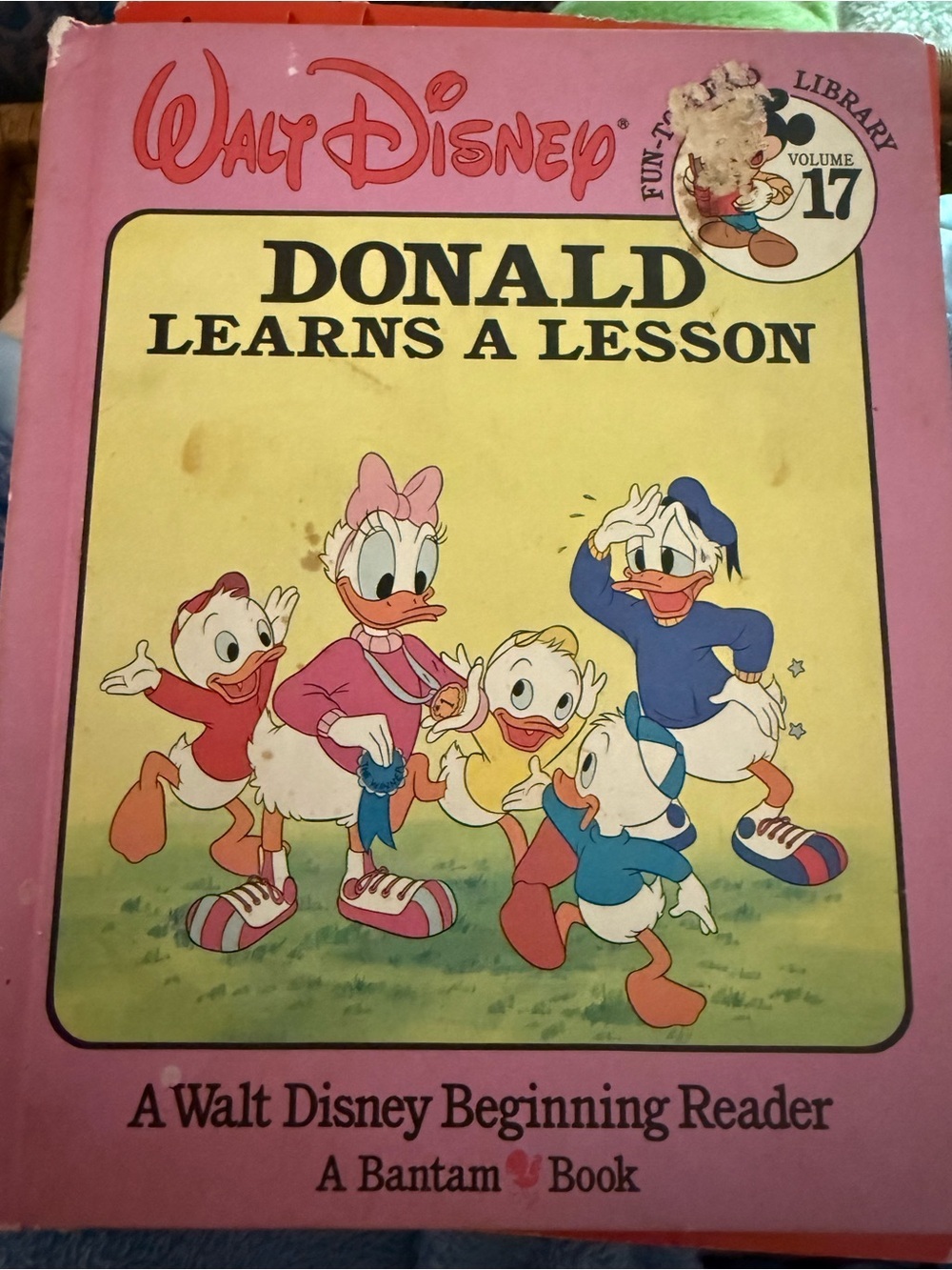 Walt Disney Donald Learns a Lesson - Pink and Yellow Children's Book